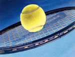 Павлюченкова вышла в третий круг теннисного турнира WTA