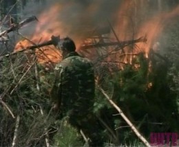 Из-за жары в регионе возникла чрезвычайная пожароопасная ситуация