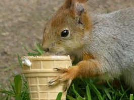 В Нижнем Новгороде побит температурный рекорд 60-летней давности