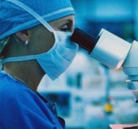 Холерные вибрионы выделены в Волге в Кстовском районе