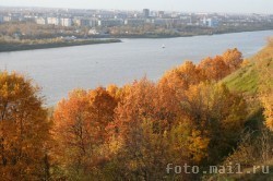 В Нижнем Новгороде деревья начали сбрасывать листву