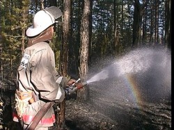 95% лесных пожаров в регионе локализовано