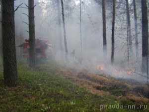 Лесные пожары полыхают в Семеновском районе