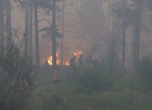 Огонь угрожает двум поселкам в Нижегородской области