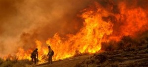 Россияне оценили действия властей и спасателей на пожарах на тройку