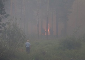 15 млн деревьев вырастят в Нижегородской области