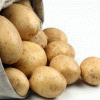 Россия закупит за рубежом четыре миллиона тонн картофеля