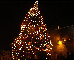 Первую новогоднюю елку установили на проспекте Ленина