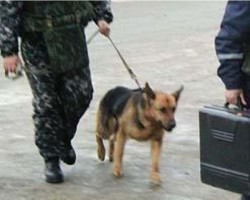 В одном из магазинов Нижнего Новгорода ищут бомбу