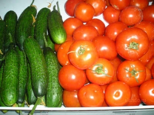 Россия запретила ввоз овощей из Германии и Испании