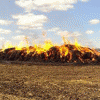 20 тонн соломы сгорело  из-за детской шалости в Перевозском районе вблизи поселка Тилинино