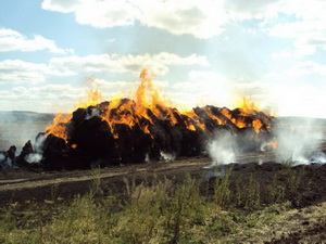 Сто пятьдесят тонн соломы сгорело в Бутурлинском районе из-за двух девочек-подростков