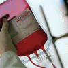 207 нижегородских чиновников сдали более 76 литров крови в рамках Дня донора