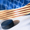 Саровские хоккеисты проиграли «Рубину» в чемпионате России