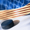 Нижегородская «Чайка» провела два матча против «Олимпии» из Кирово-Чепецка на ледовой арене Дворца спорта