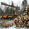 В Нижегородской области планируется создать центр по обучению специалистов лесхозов