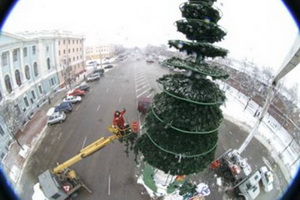 Главную новогоднюю ёлку начали устанавливать на площади Минина