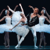 Большой Театр и Google запускают балет в онлайн