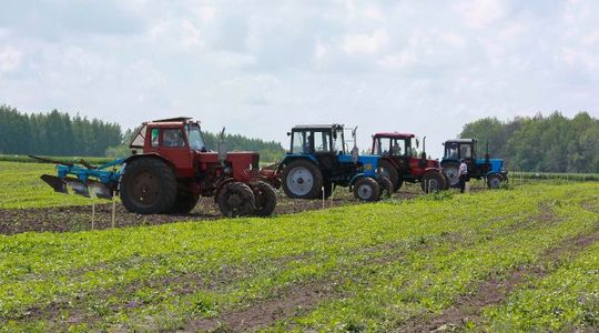 Посевная кампания в регионе пройдет в сжатые сроки