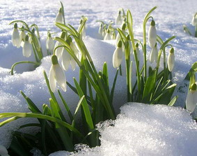 Нижегородские метеорологи прогнозируют приход весны на начало апреля