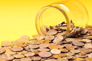 Нижегородцы смогут узнать о реальных доходах депутатов