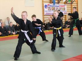 Всероссийский фестиваль боевых искусств прошел в Нижнем Новгороде