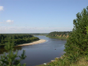 В Варнавинском районе нашли погибшего мальчика, пропавшего еще в прошлом году