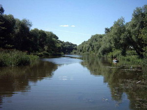 Горе-пловец чуть не утонул на Волге в районе поселка Васильсурск Воротынского района