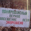 Региональное отделение ГУ МЧС напоминает о сохранении 4 класса пожароопасности лесов и торфяников в Нижнем Новгороде и области