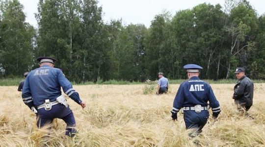 Два подростка, пропавших в лесу в Семеновском районе, нашлись