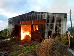 Сто тонн сена сгорело в Выксунском городском округе