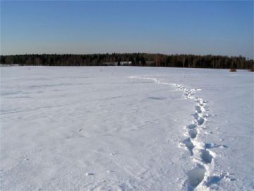 Поселок Первое Мая исчерзнет с карты Нижегородской области