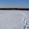 Поселок Первое Мая исчерзнет с карты Нижегородской области