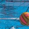 К сожалению, победная поступь нижегородских команд оступилась в рамках третьего тура чемпионата России по водному поло среди женских команд, который в эти дни проходит в бассейне «Дельфин»