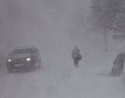 Сегодня около полудня на Нижний Новгород налетел ураганный ветер