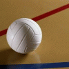 Нижегородские волейболисты заняли третье место на полуфинальном этапе первенства России среди юношей 2000-2001 годов рождения