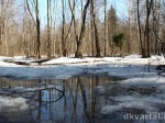 Еще один низководный мост затоплен в Арзамасском районе, сообщают в областном управлении МЧС