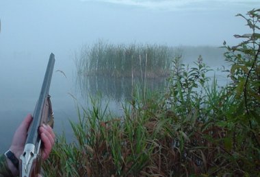 В Нижегородской области откроется весенняя охота