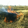 За последние две недели в Нижегородской области пожарные расчёты более четырёхсот раз выезжали на тушение пожаров