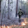 За минувшие сутки в Нижегородской области зарегистрировано уже четыре лесных пожара
