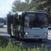 В регионе запланировали масштабный проект по переводу муниципальных автобусов на газомоторное топливо