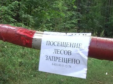 Сильная пожароопасность наблюдается в нижегородских лесах