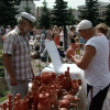 Праздник гончарного искусства состоялся в минувшие выходные в Богородске