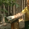В зоопарке «Лимпопо» сегодня объяснили нижегородцам, как правильно обращаться с птенцами