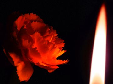 Фестиваль ННГАСУ «Побережье-2013» отменили из-за гибели ректора Копосова