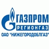 Конкурс профессионального мастерства прошел среди работников «Нижегородоблгаза»