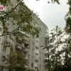 Конфликт из-за вырубки деревьев разгорается в одном из ТСЖ Нижнего Новгорода