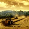 Потери при уборке зерновых в этом году в Нижегородской области достигнут 20 процентов