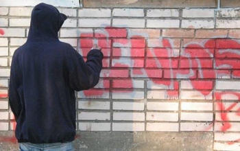 Двадцать человек задержано за вандализм на территории города в этом году