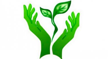 Подведут итоги конкурса «Природоохранное законодательство глазами молодежи»